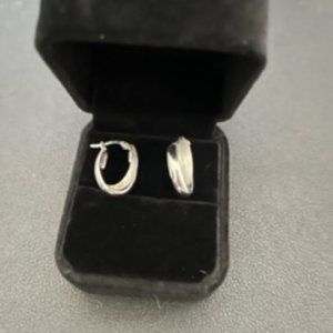 14kt White Gold Double Hoop Earrings